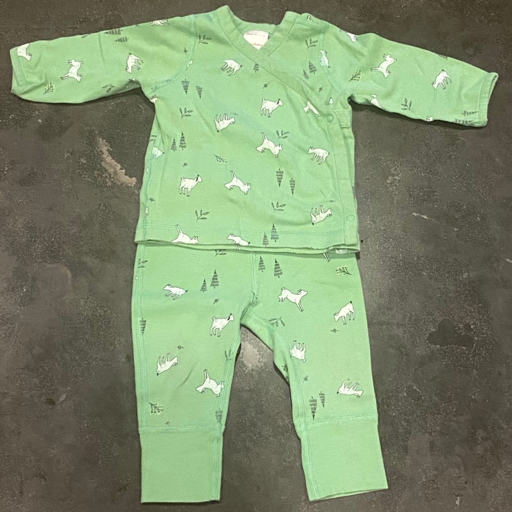 Hanna Andersson Green Goat Print Side Snap Pajamas